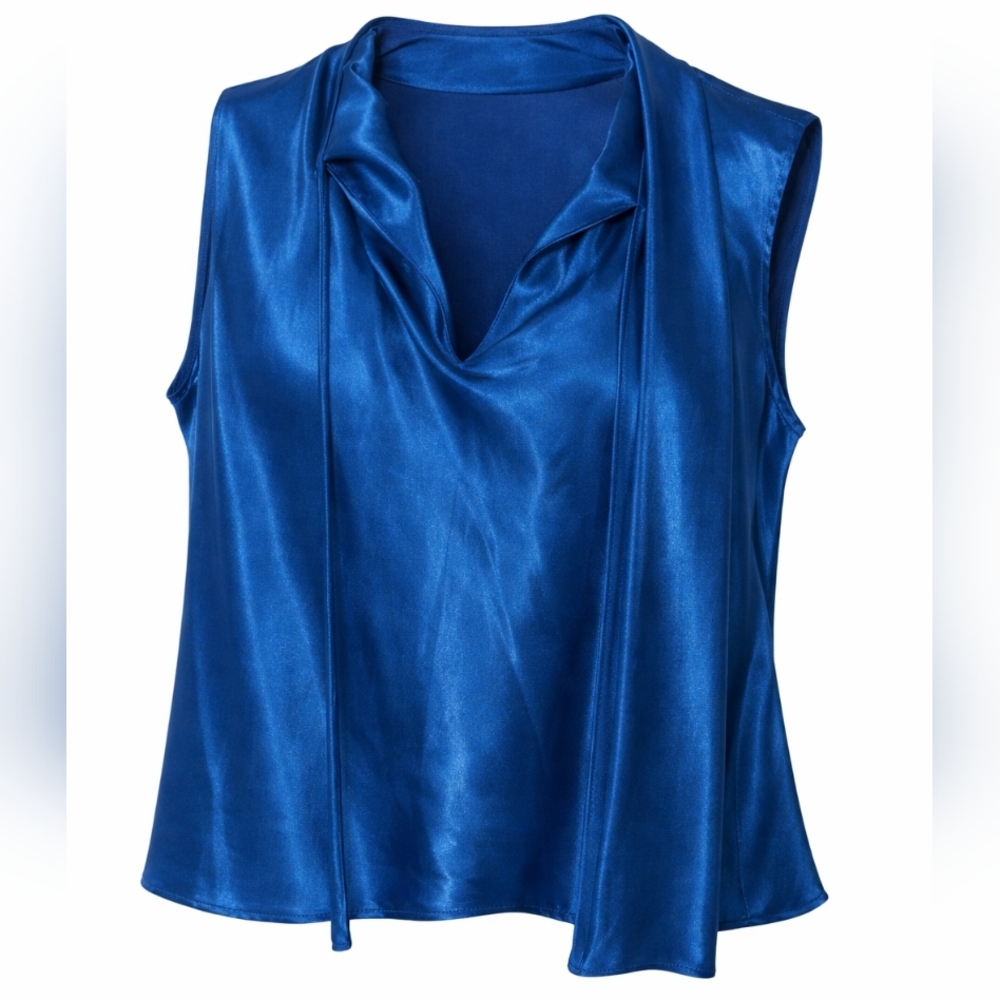 Evan Picone Shimmering Blue Sleeveless Top— Desk to Dinner | Free Shipping